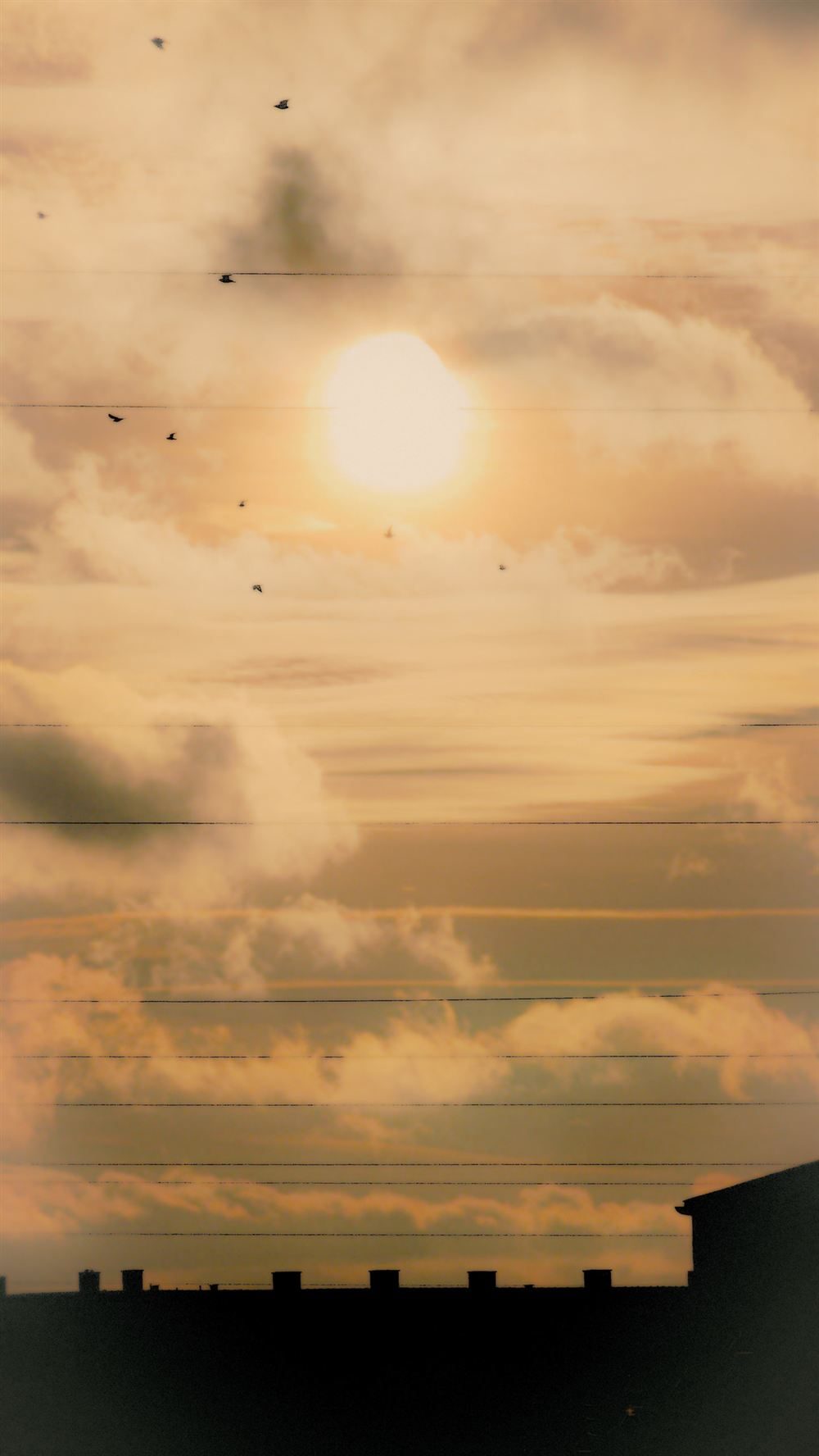 Cielo con nubes y aves al atardecer, sobre un muelle en calma