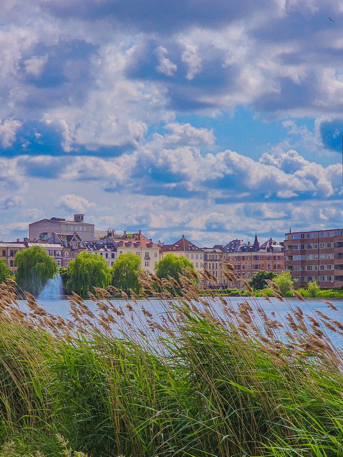 Vista de Copenhague junto al agua, con juncos en primer plano
