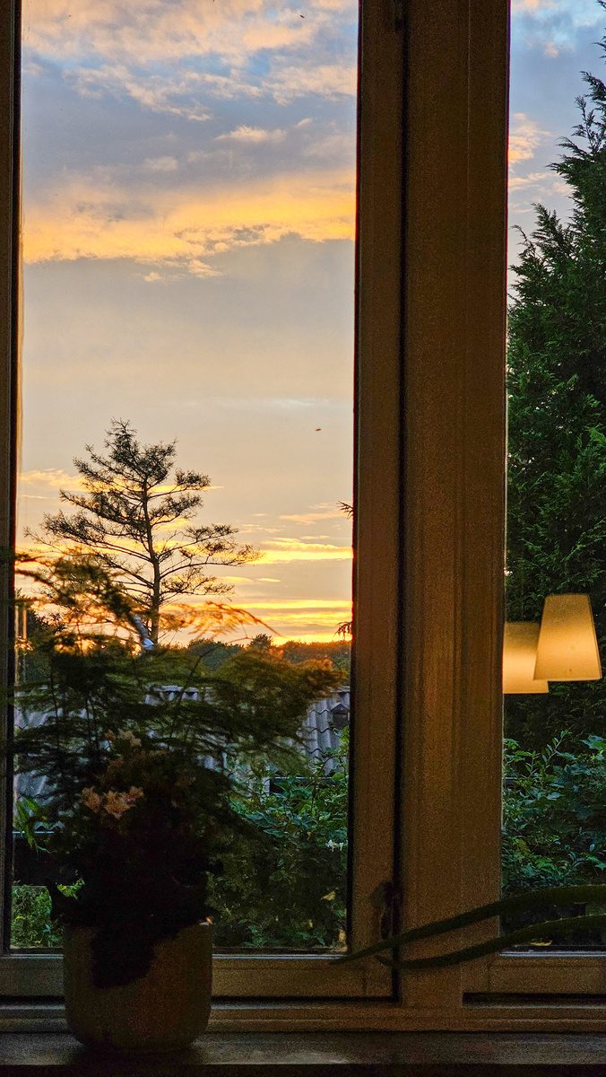 Vista de un atardecer a través de una ventana, con una planta en el alféizar