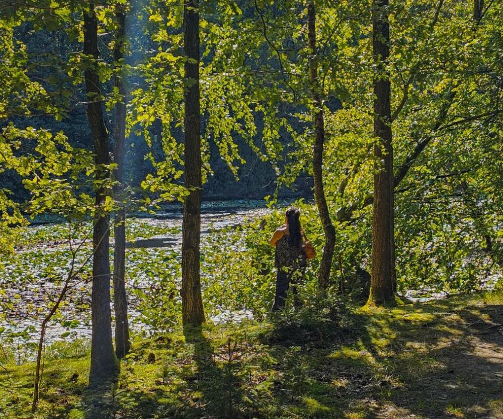Mujer de espaldas frente a un lago, entre árboles iluminados por el sol.